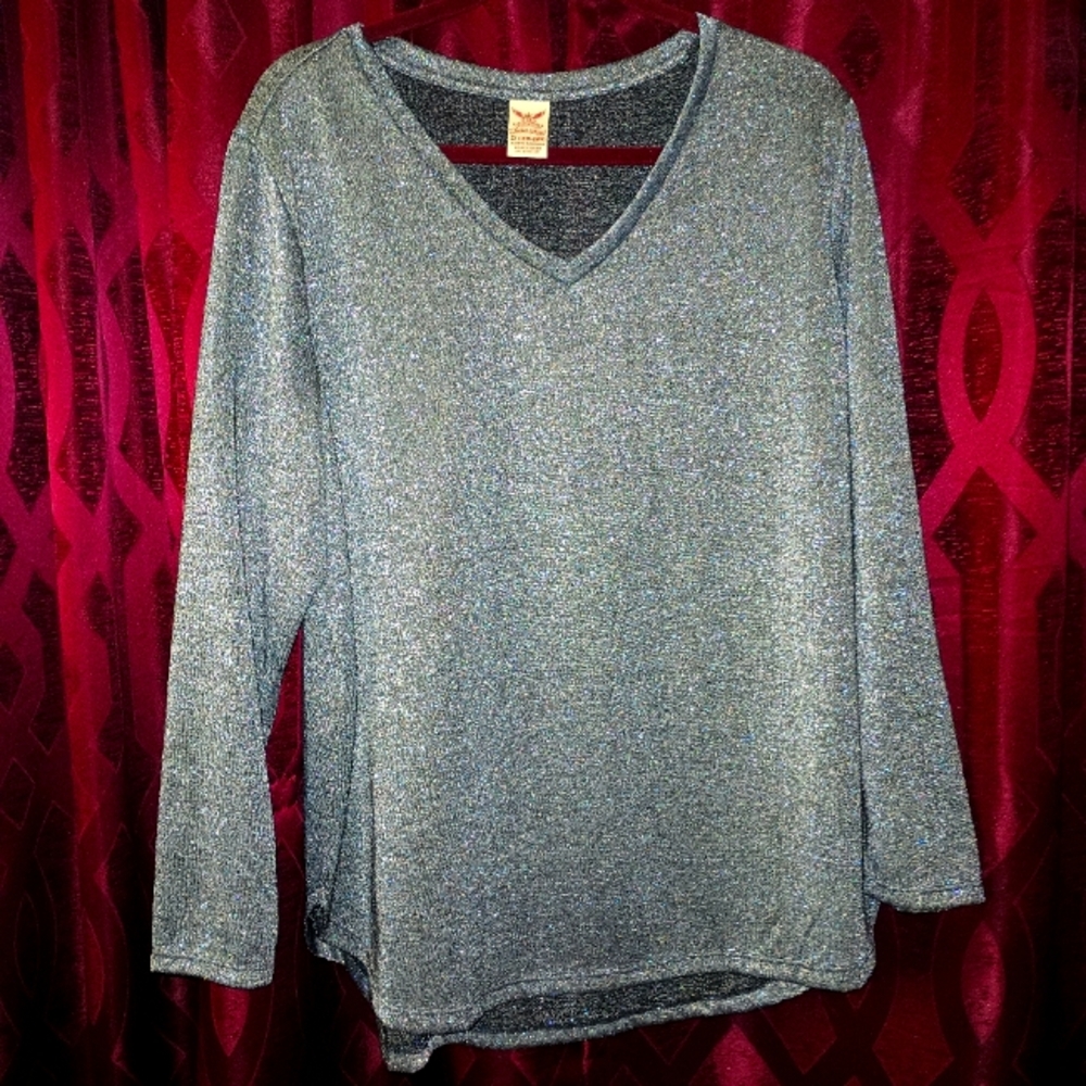Women's Silver V-Neck Top